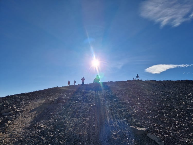 7bc2a232-2b32-4d75-a8ff-c904fffe359e