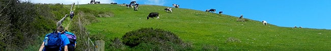 Climbing_steps_Jurassic_Coast