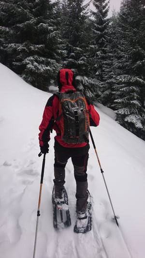 snowshoeing romania