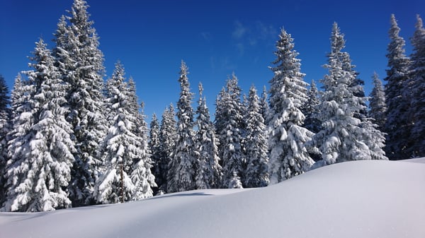 romania landscape