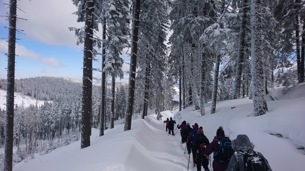 Snow-shoeing in Romania