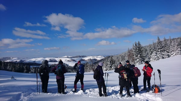 Views in Transylvania