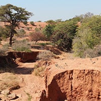 Dry_landscapes_of_Zambia.jpg