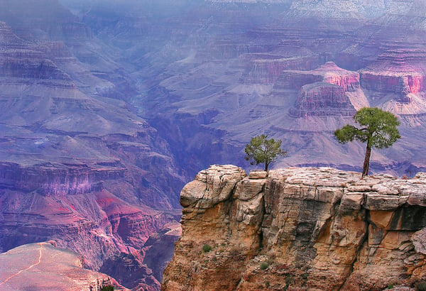 Grand Canyon Add 1