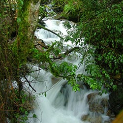 Waterfall_in_rainforest_Peru