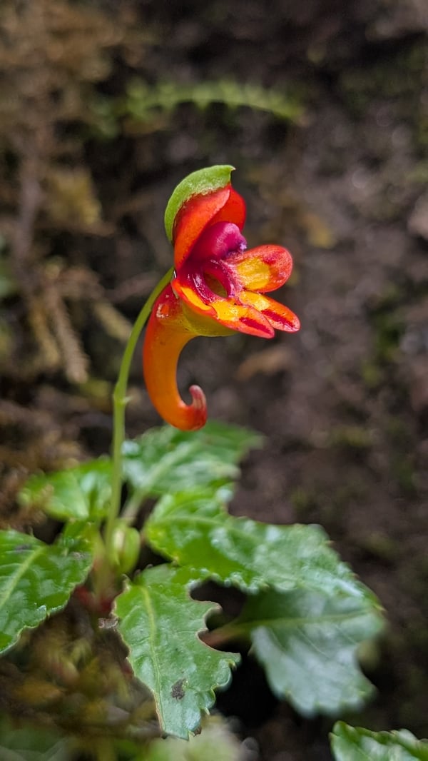 It was the little things on a big mountain that you should notice