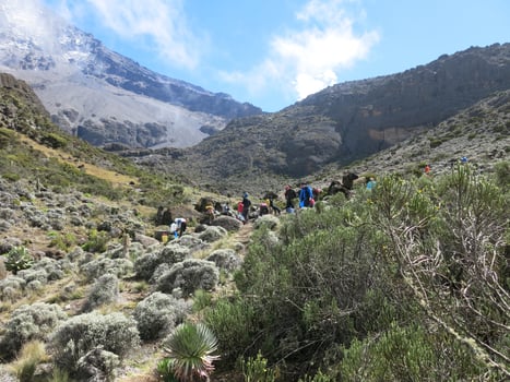 Kilimanjaro terrain