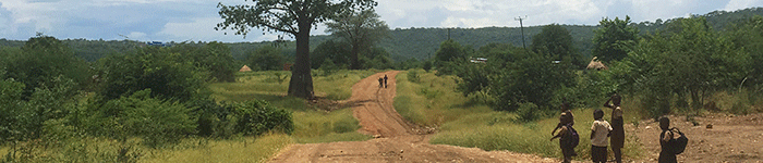 Dirt_road_Zambia.gif