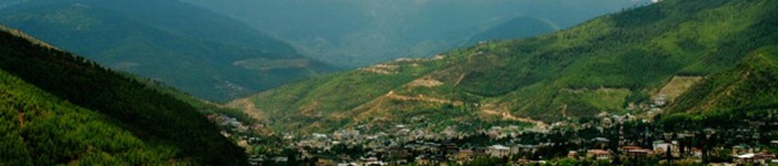 Lush_green_valley_Bhutan