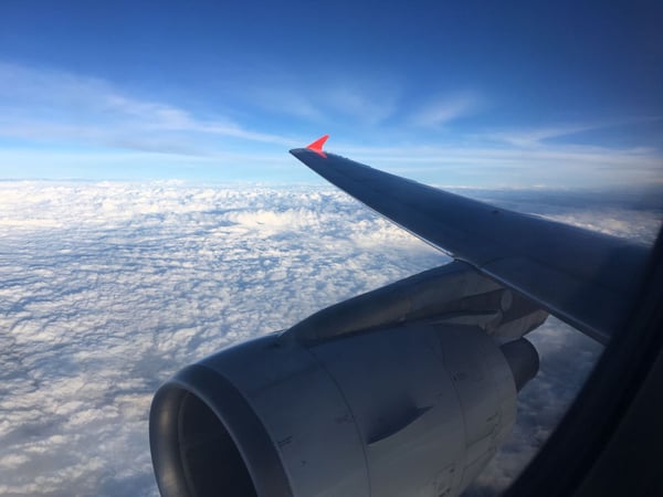 Plane above the jungle