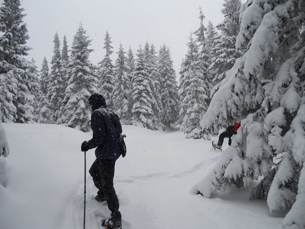 Snowshoeing in Romania