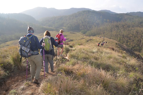Trek Kerala_4