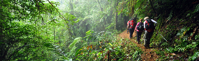 Trekking_through_jungle_Costa_Rica