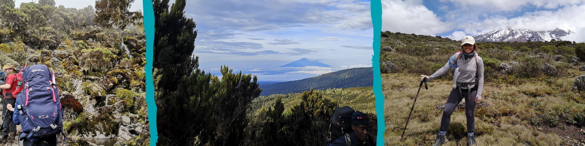 trekking kilimanjaro