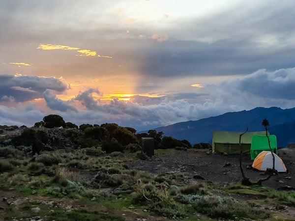 Kilimanjaro