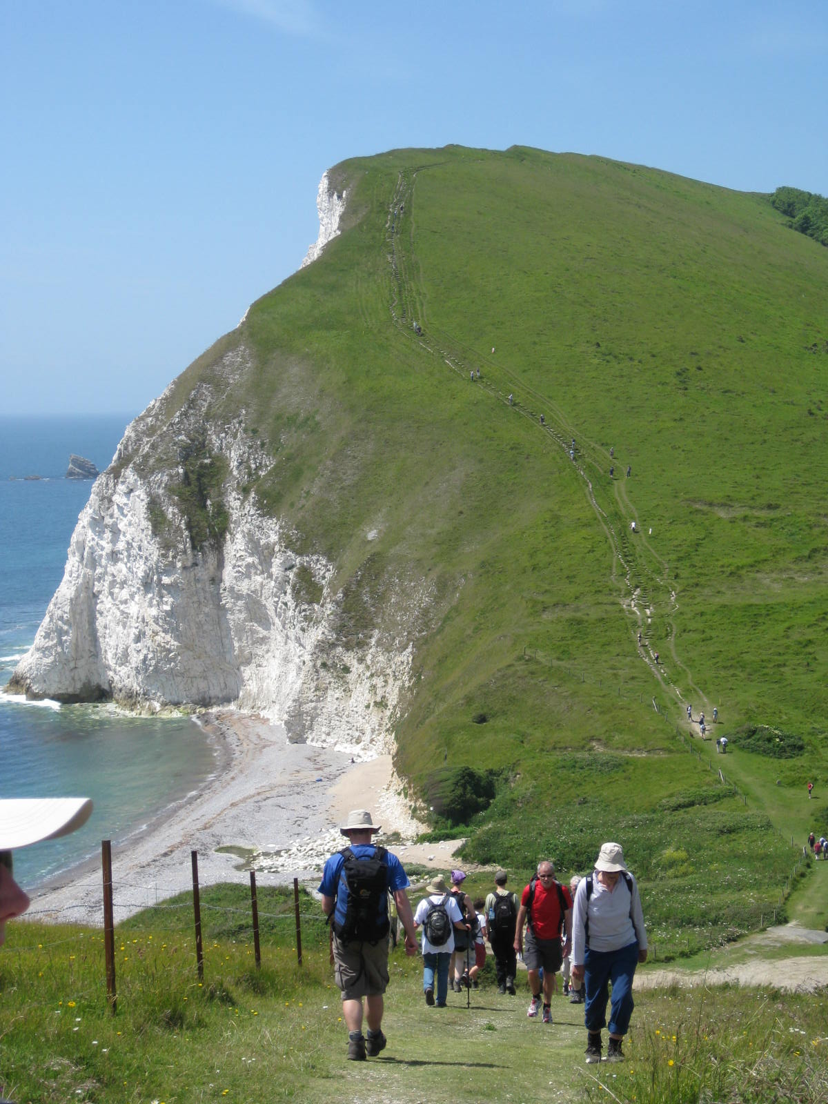 Jurassic Coast  057.jpg